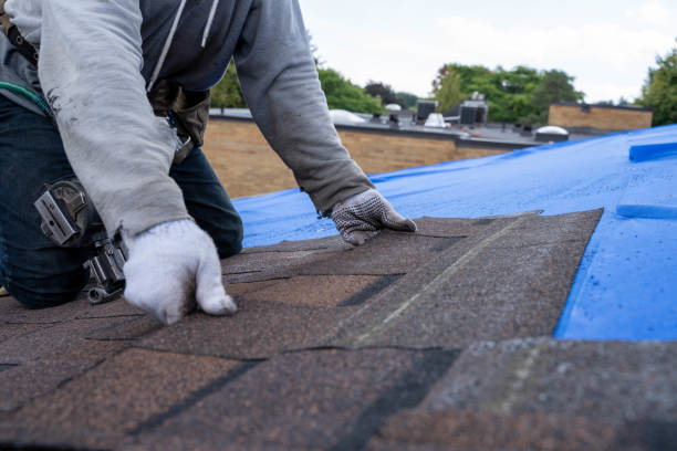 Best Rubber Roofing (EPDM, TPO)  in Bowling Green, MO
